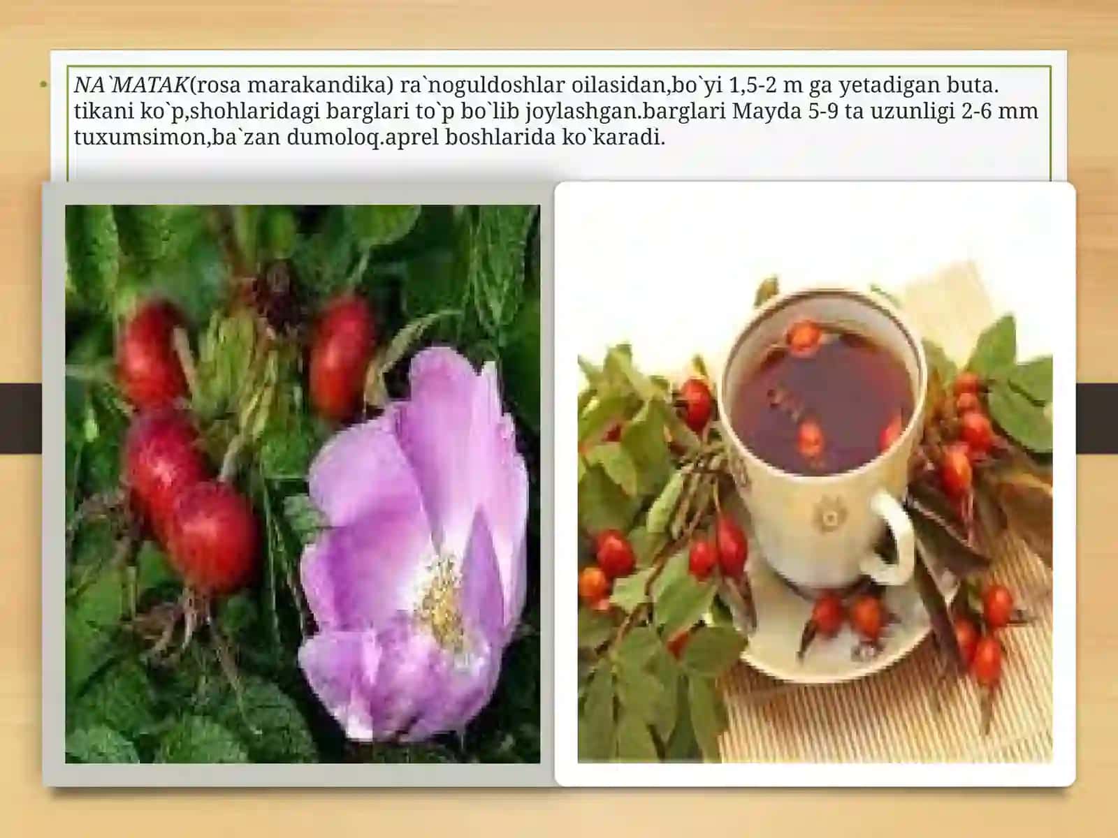 Ra’nodoshlar oilasi 4