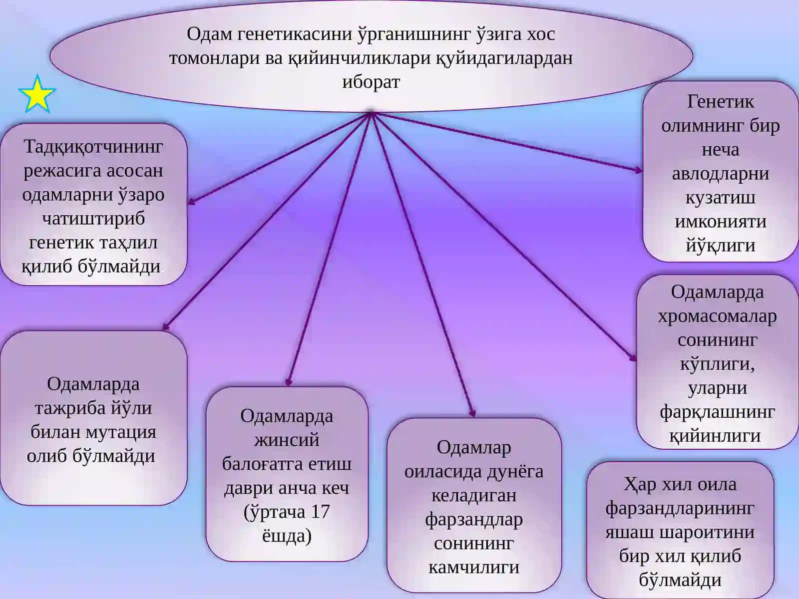 МарузаN9 4