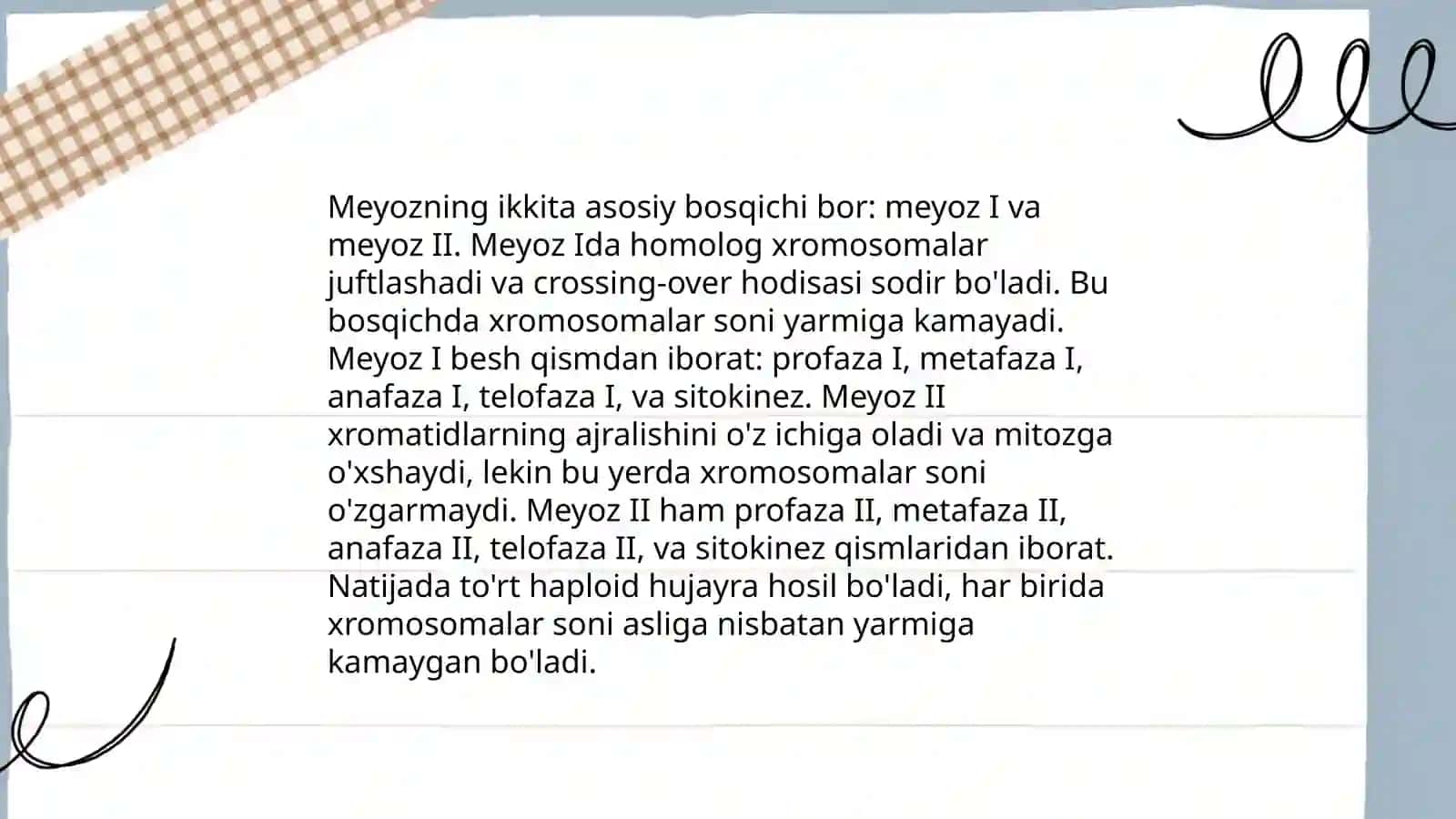 Meyoz 4
