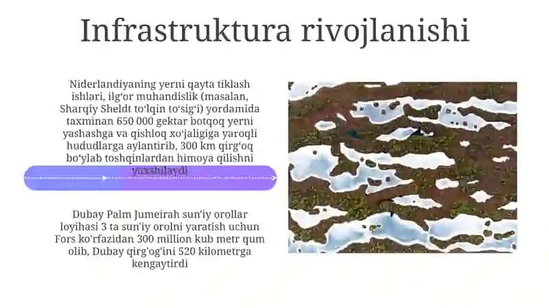 Botqoq Ekologiyasi va Muammolari 4