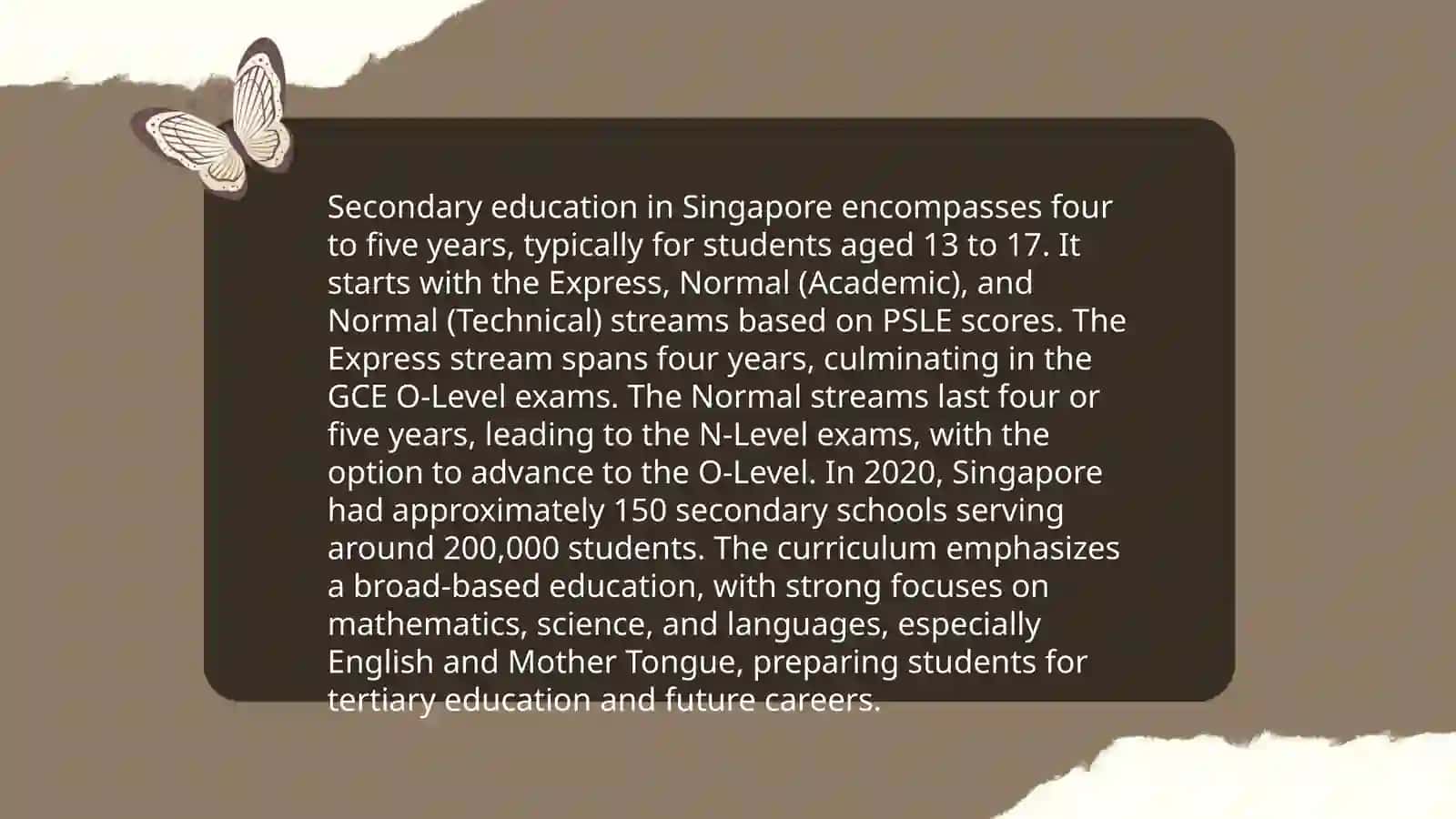 Primary Education in Singapore 4