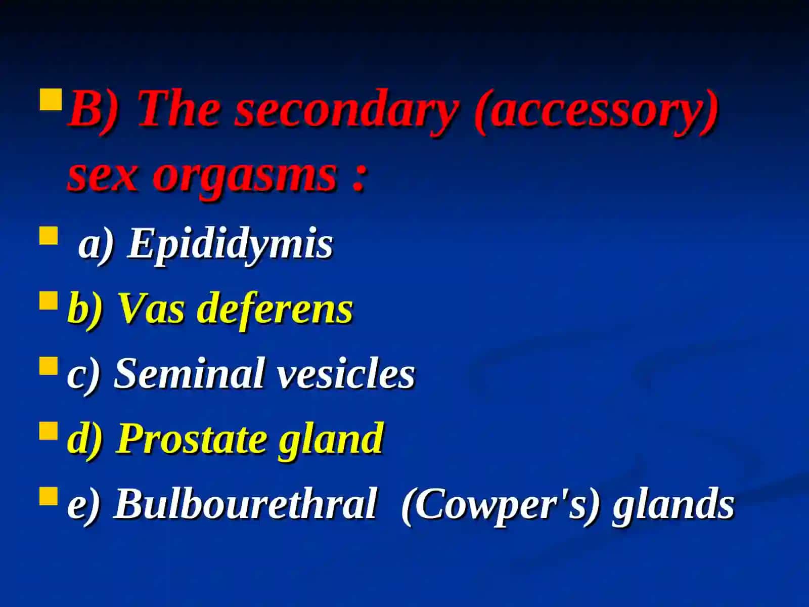 Male reproductive system 4