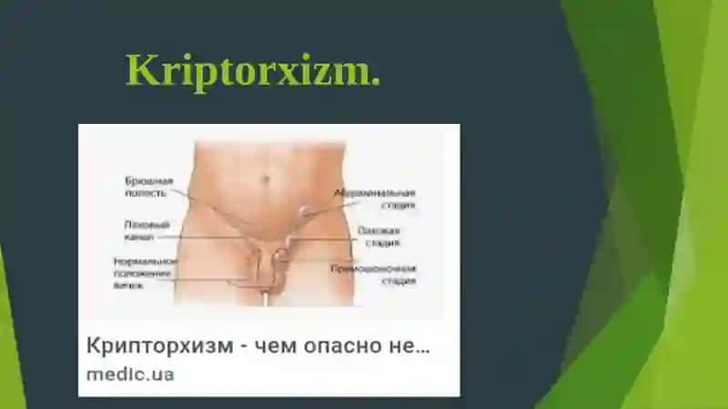 Kriptorxizm 4