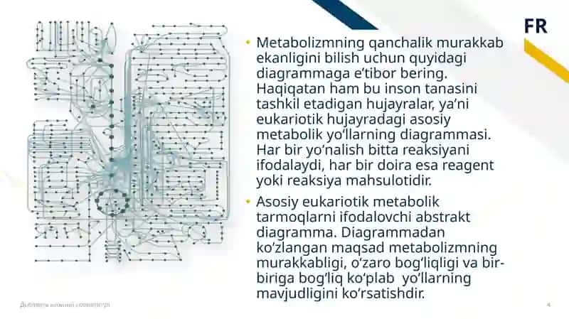 Metabolizm jarayonida energiya hosil bo'lishi va sarflanishi 4