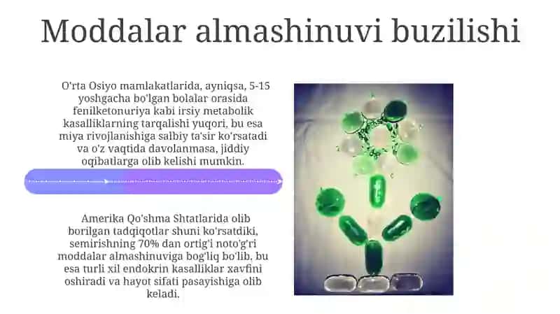 Moddalar almashinuvi turlari va bosqichlari 4