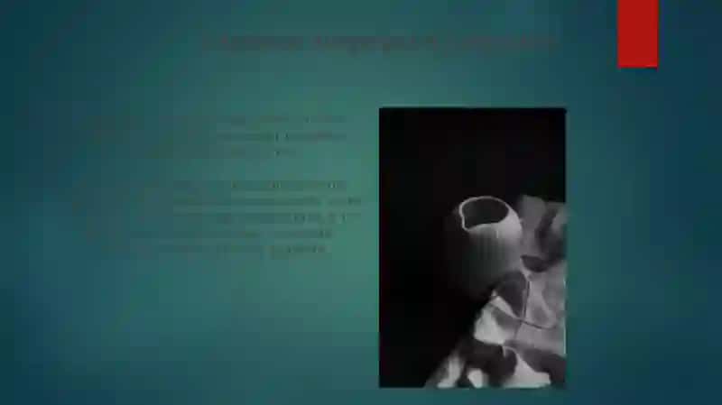 Гласные звуки и ударение 4