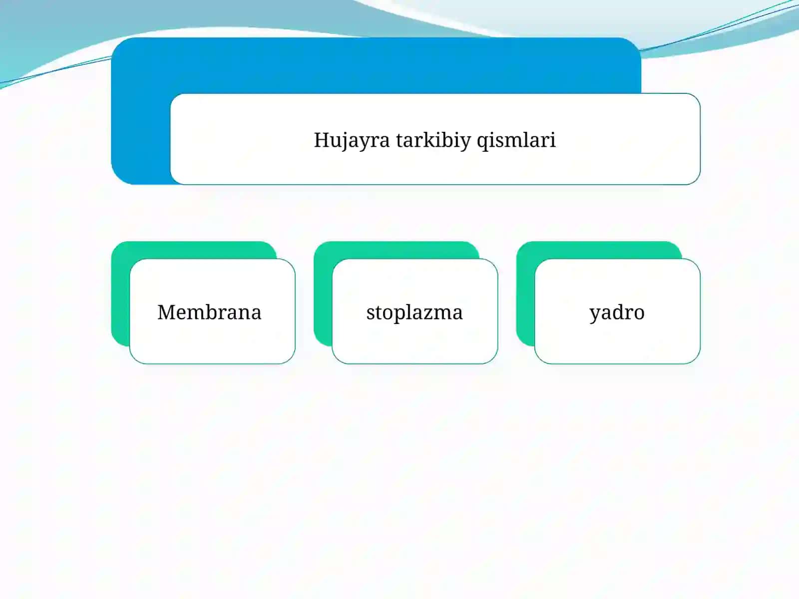 EUKARIOT HUJAYRANING UMUMIY TUZILISHI 4