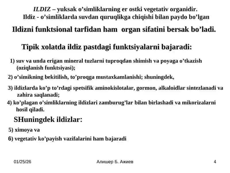 ILDIZ VA ILDIZ SISTEMASI 4