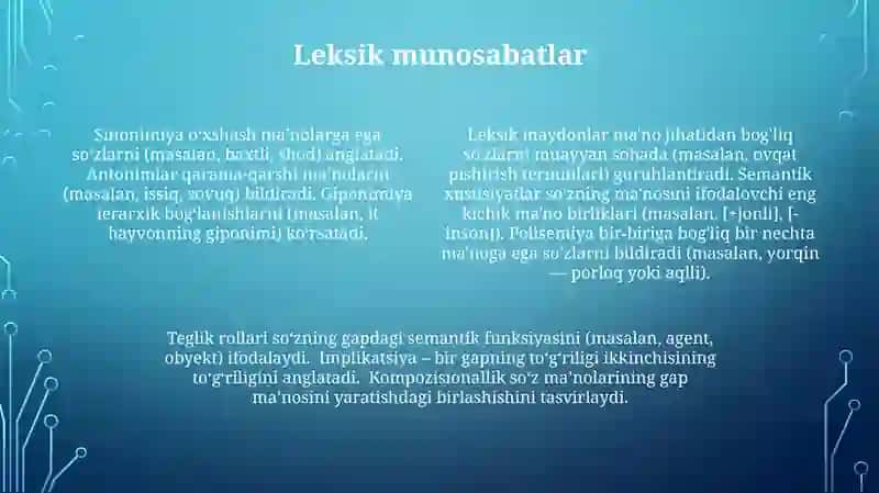Hisoblash Leksik Semantikasi 4