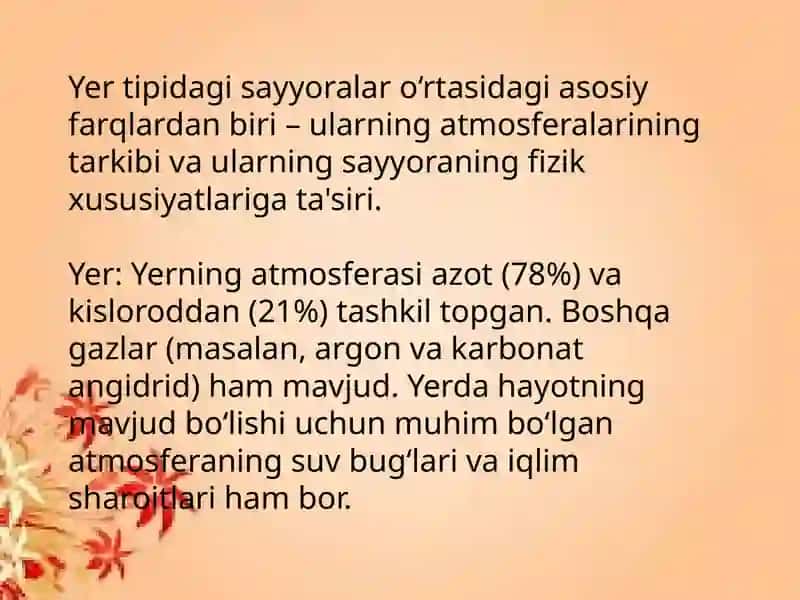 Yer tipidagi sayyoralar 4