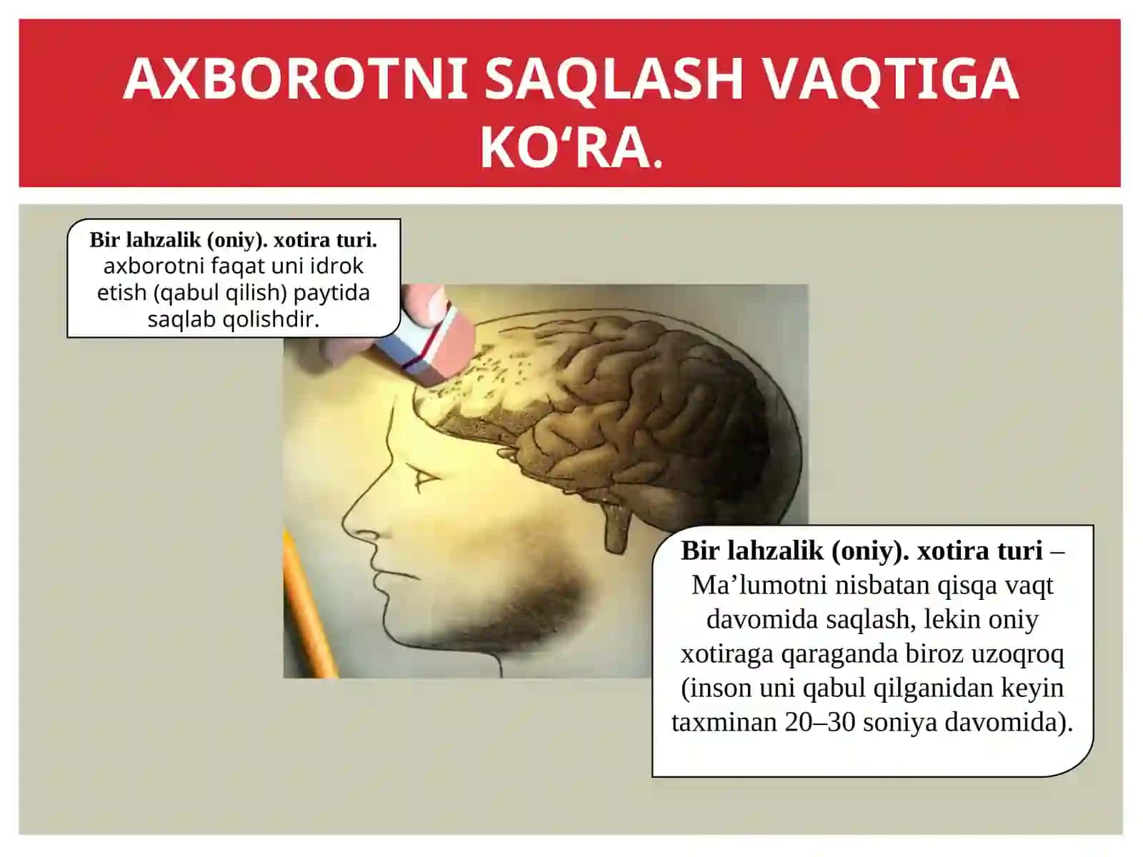 XOTIRA 4