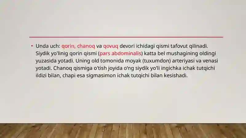 Siydik yo’li va siydik pufagi 4