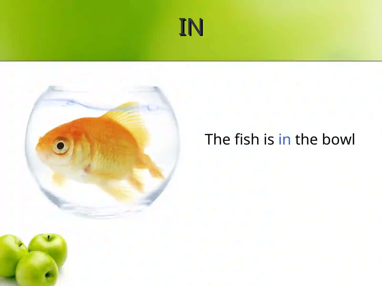 Prepositions of Place 4