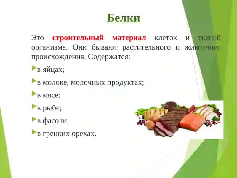 Рациональное питание и его значение для здоровья 4