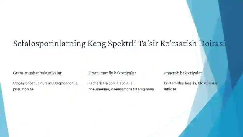 Sefalosporinlar - Antibiotiklarning Yangi Avlodi 4