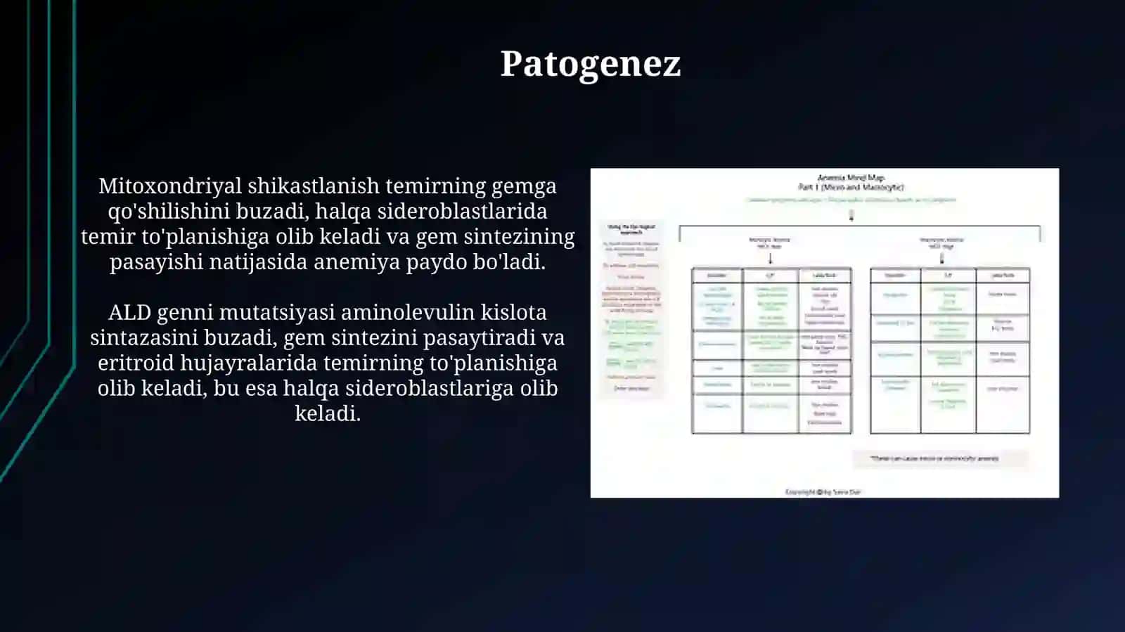 Sideroaxrestikanemiya etiologiyasi, patogenezi, klinikasi va diagnostikasi 4
