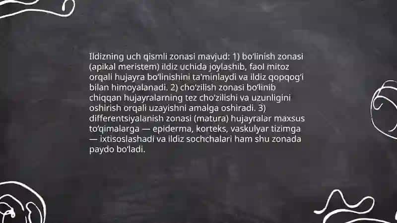 Ildiz va ildiz sistemasi 4