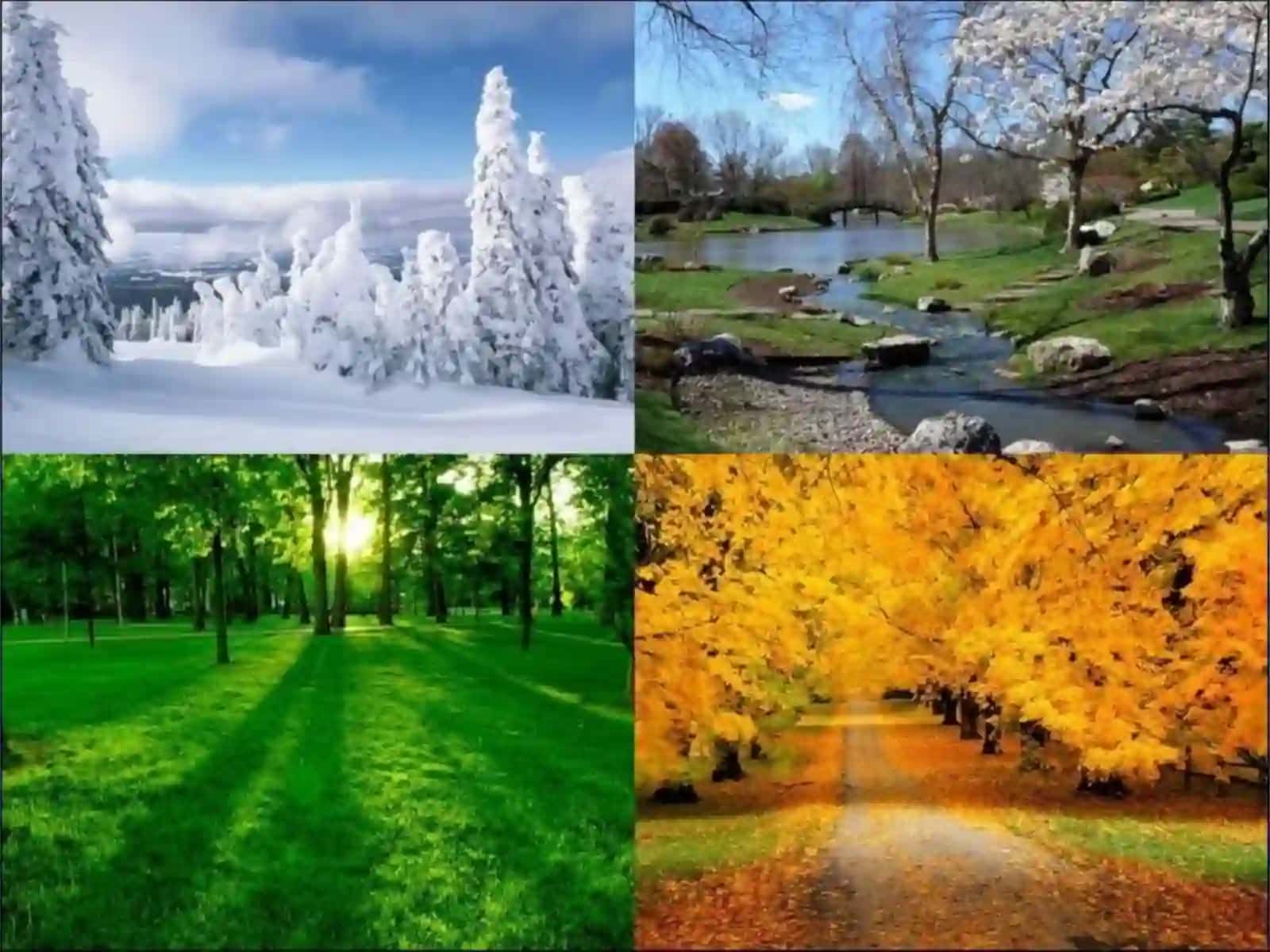 Qutbiy mintaqa tuproqlar geografiyasi 4