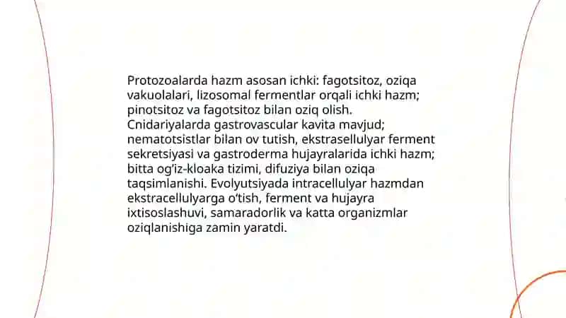 Hazim tizimi Filogenezi 4