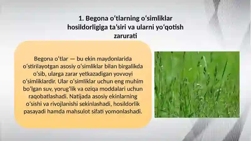 Begonao‘tlarniyo‘qotishda mehanikaviy va kimyoviy usullar 4