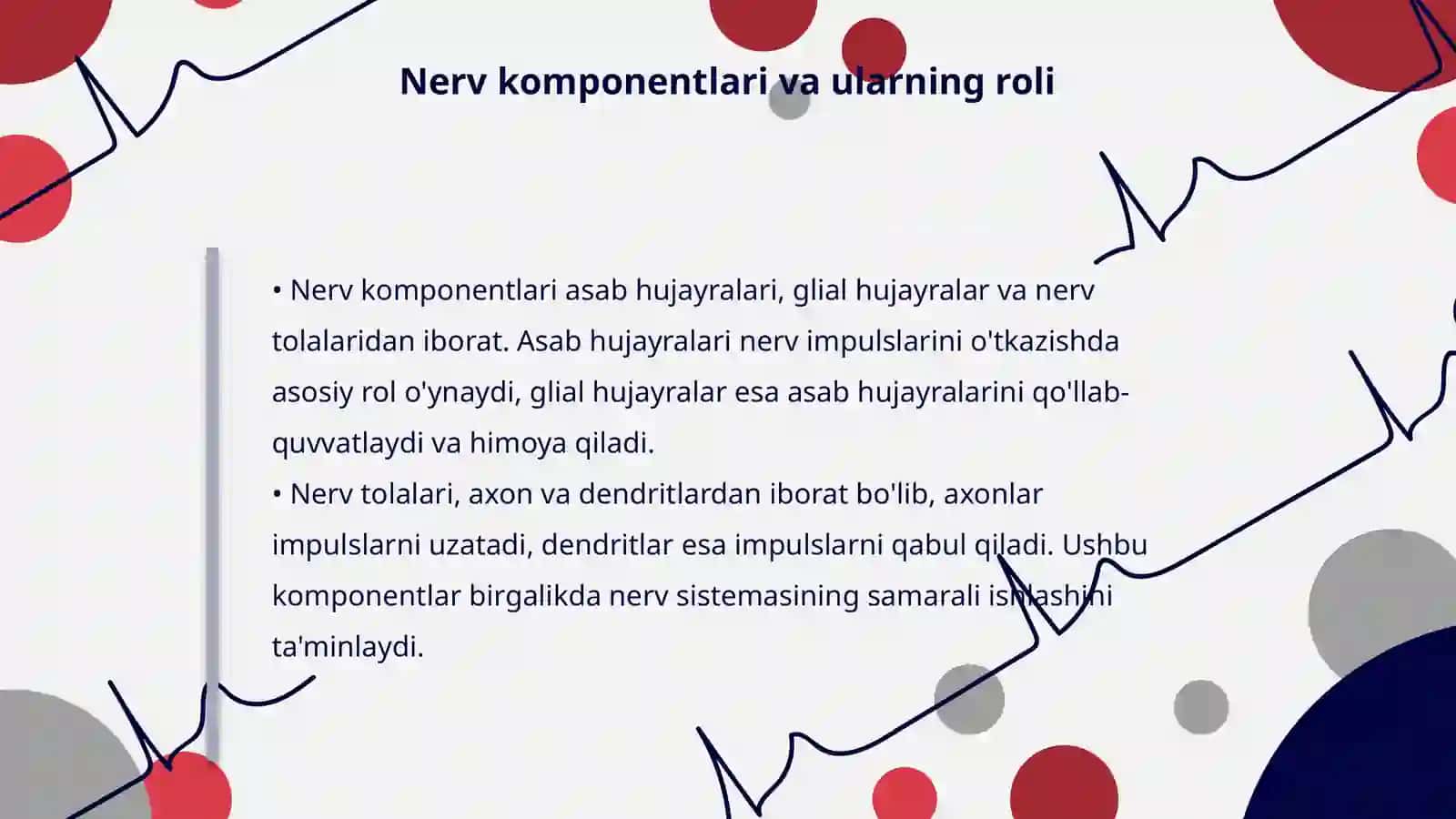 Nerv sistemasining fizilogik xususiyatlari 4