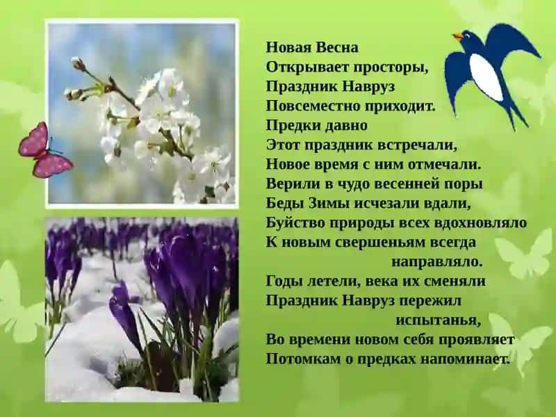 Навруз- мусульманский новый год 4