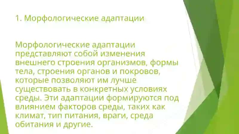 Самостоятельная работа 1 4