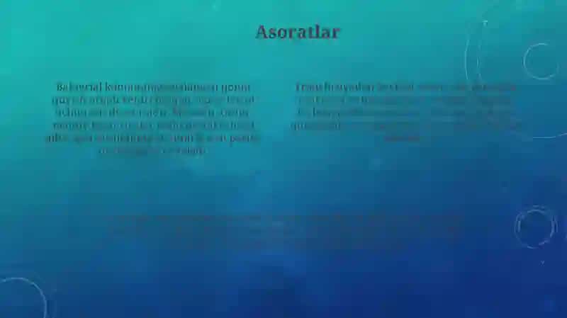 Prognoz 4