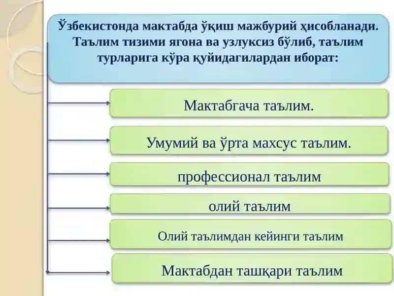 Таълимни ташкил этиш шакллари ва турлари 4