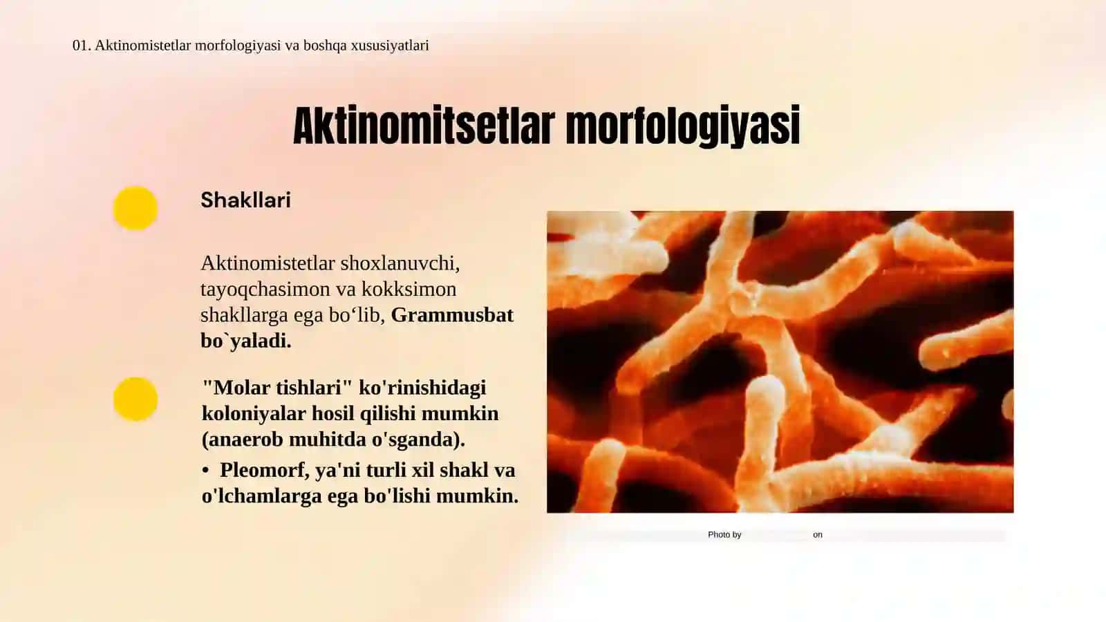 Aktinomikoz 4