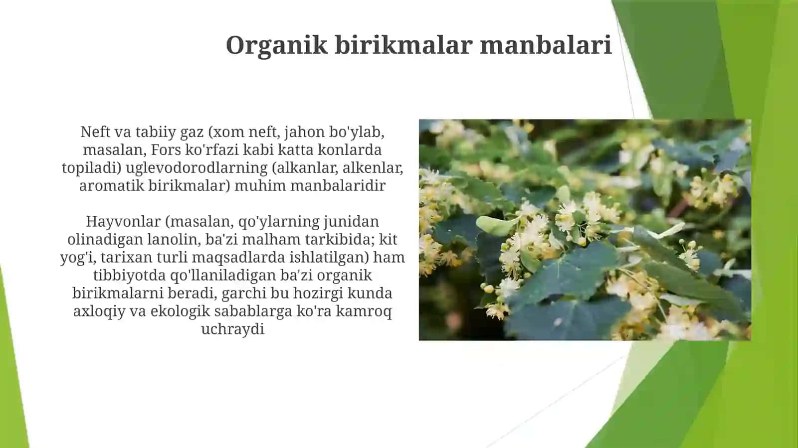 Organik dorivor birikmalar manbalari 4