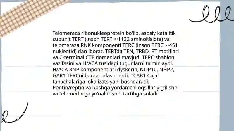Telomerazalar 4