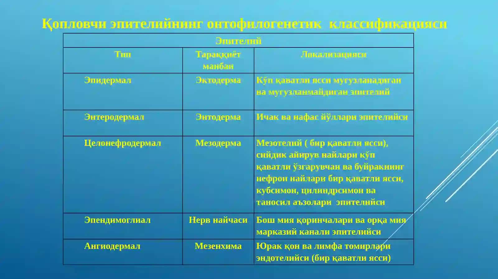 Маъруза№2.Тўқималар. Эпителийтўқимаси 4