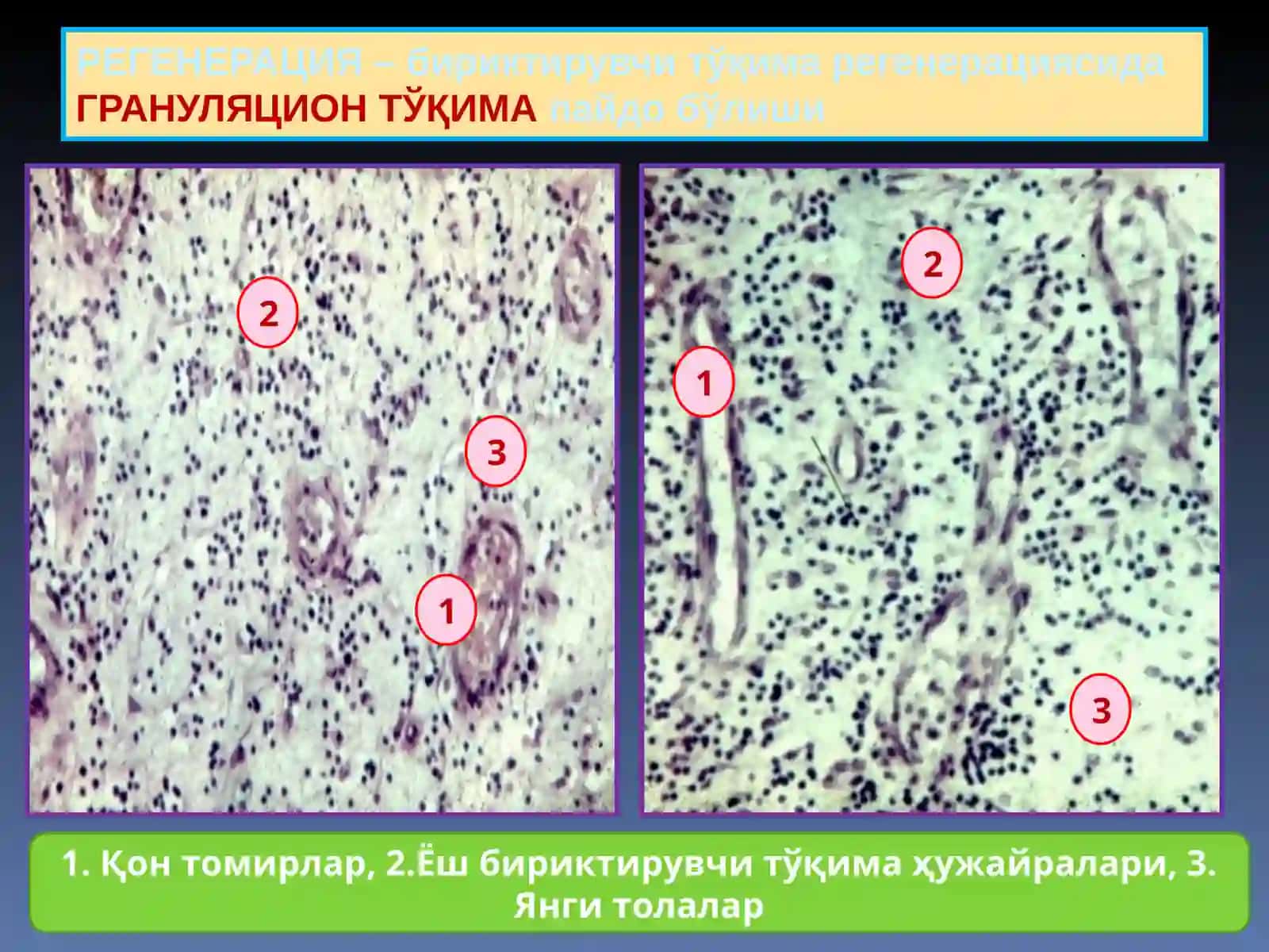 МОСЛАНИШ-ЎРИН АЛМАШИНИШ ЖАРАЁНЛАРИ 4
