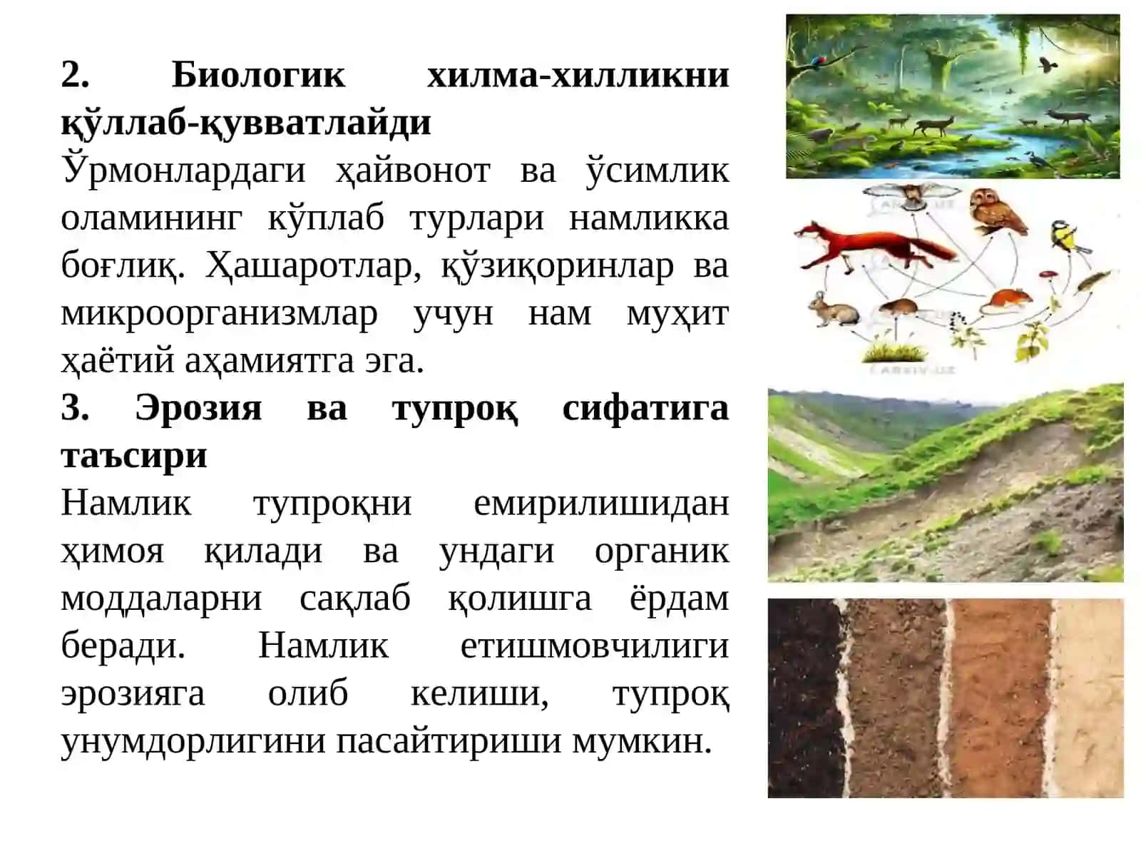 ЎРМОН ВА НАМЛИК 4