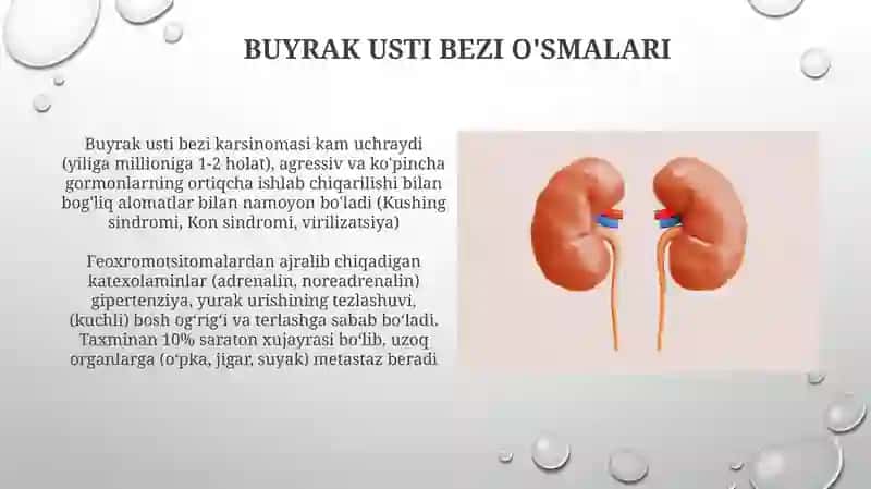 Buyrak usti bezlari 4