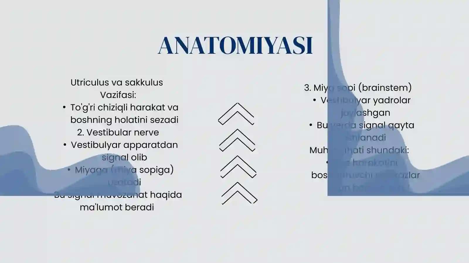 NISTAGM VA UNING TURLARI 4