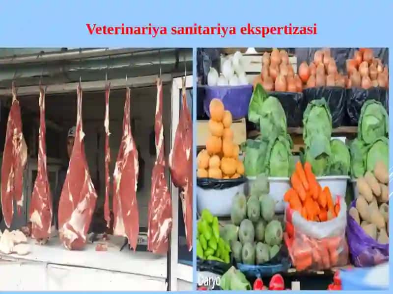 Eshmurodov Burxonning Malakaviy Amaliyot Taqdimoti 4