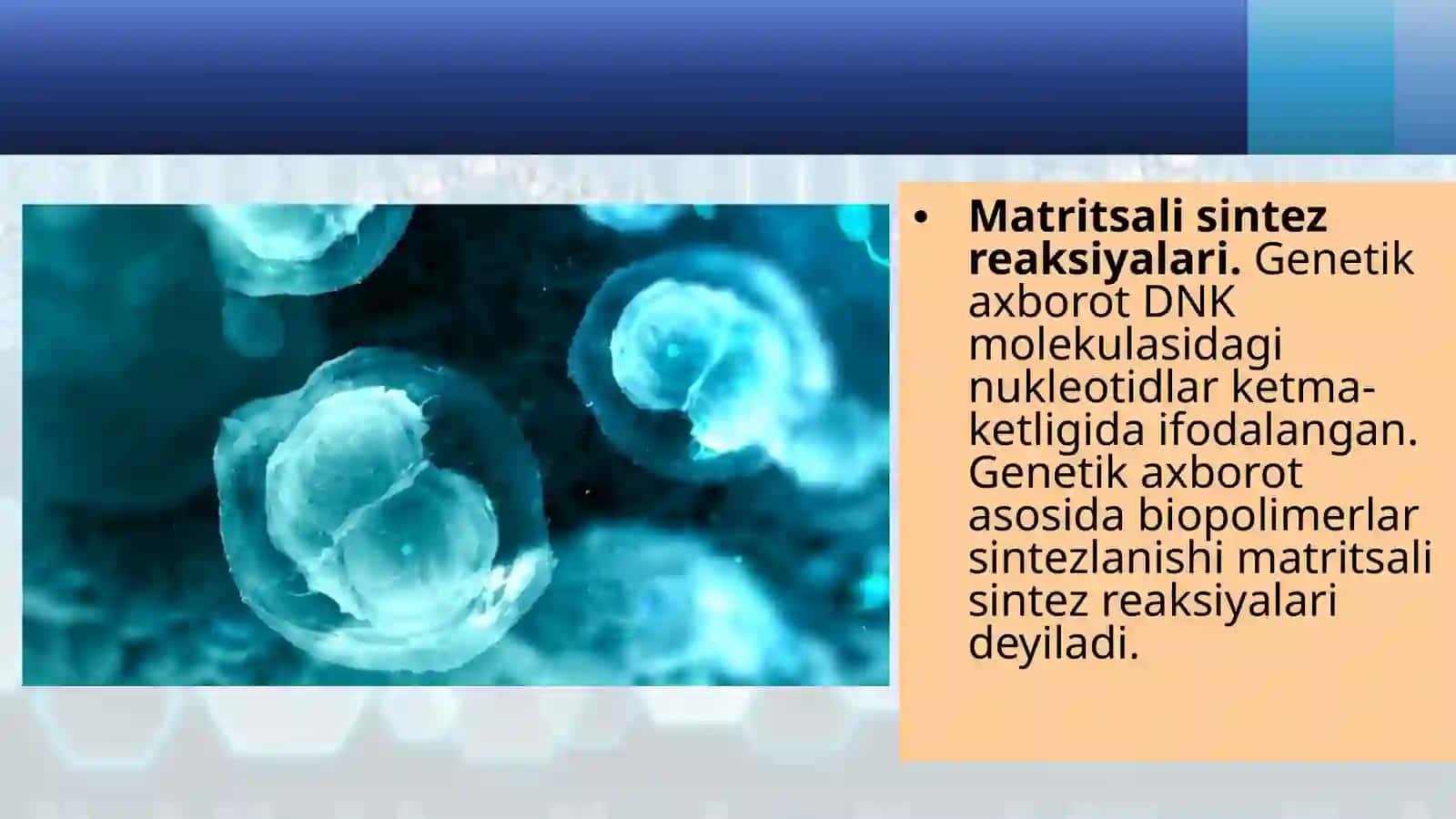 Hujayra nazaryasi 4