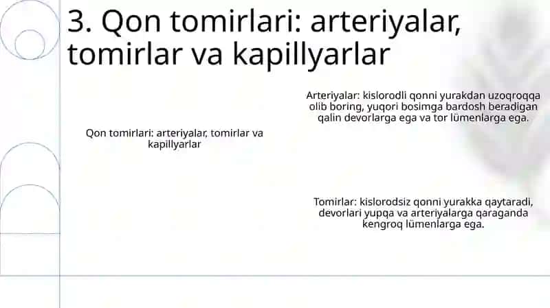 Qon Aylanish Sistemasining Biofizikasi 4
