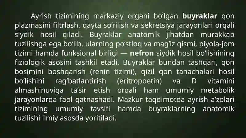 Ayrish a'zolari tizimi. Buyraklar anatomiyasi 4