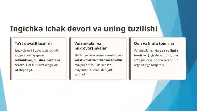 Ingichka ichakda hazm fiziologiyasi 4