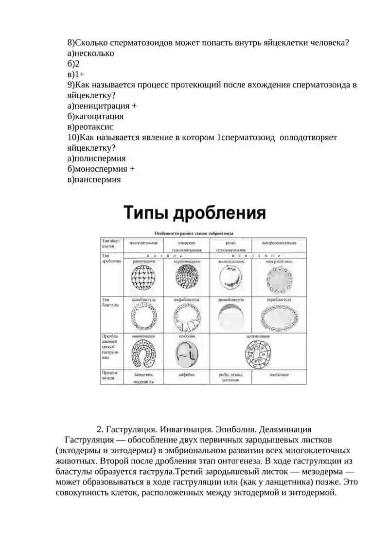Самостоятельная работа №3 4