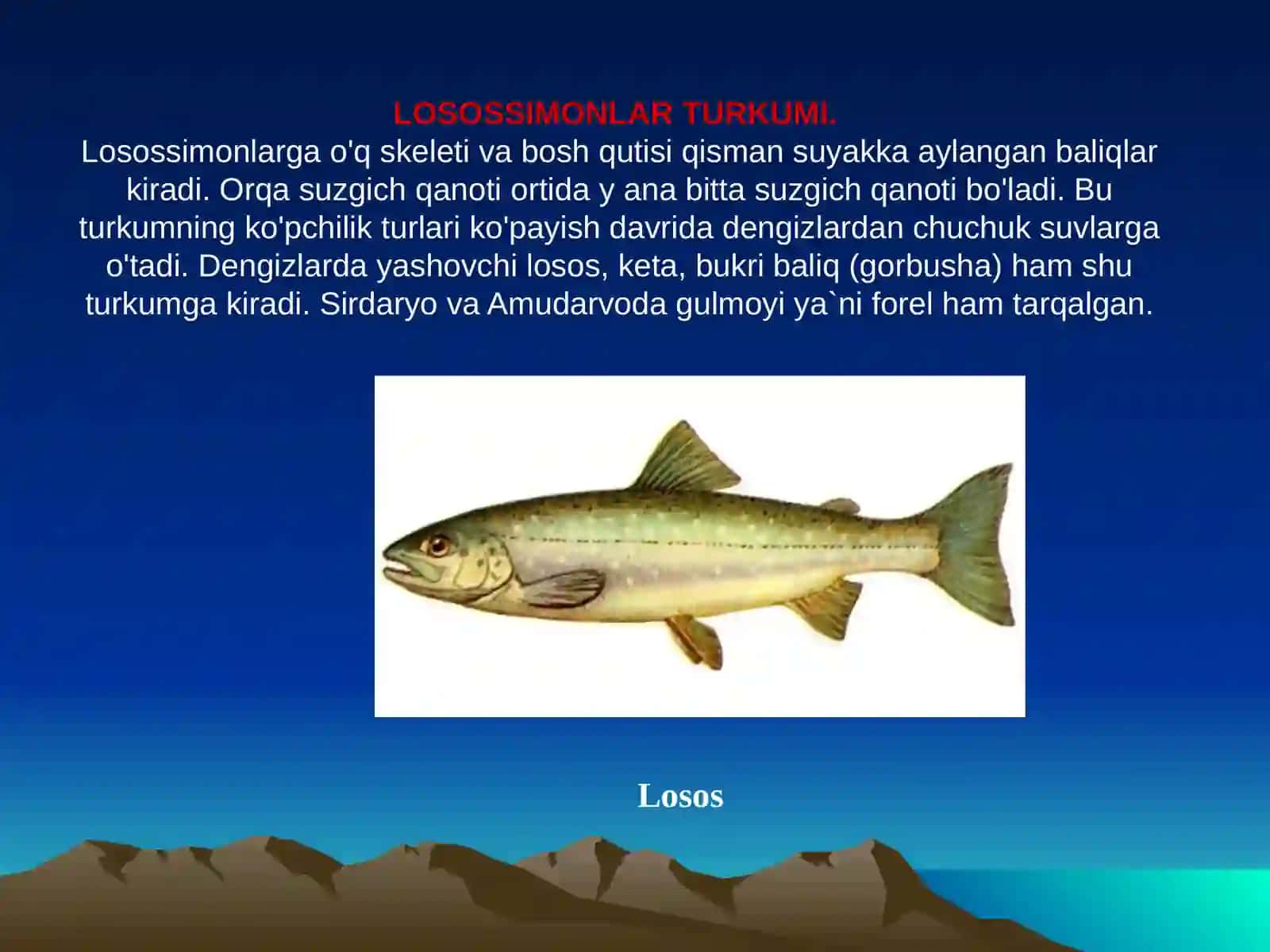 Forel 4