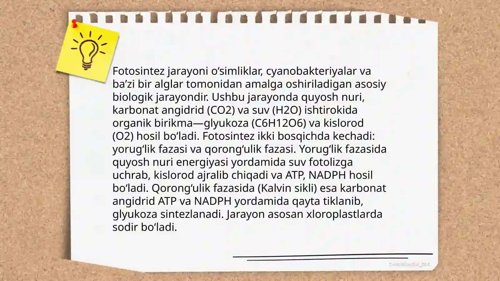 Oʻsimliklar olami 4