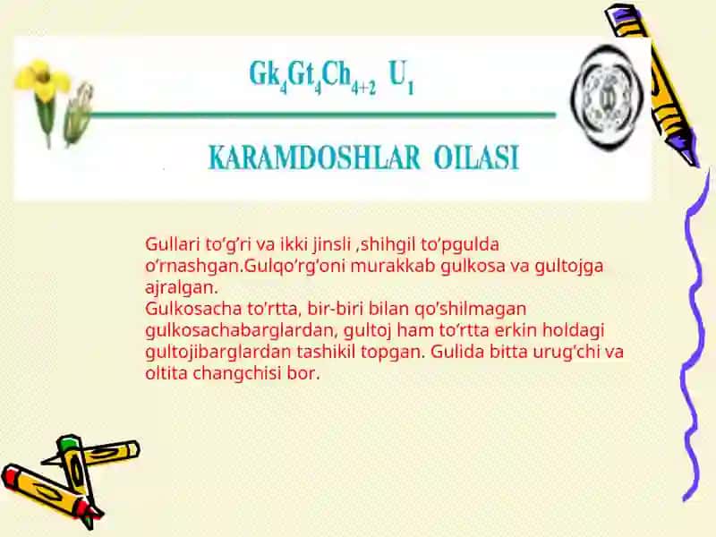 Karamdoshlar oilasi 4