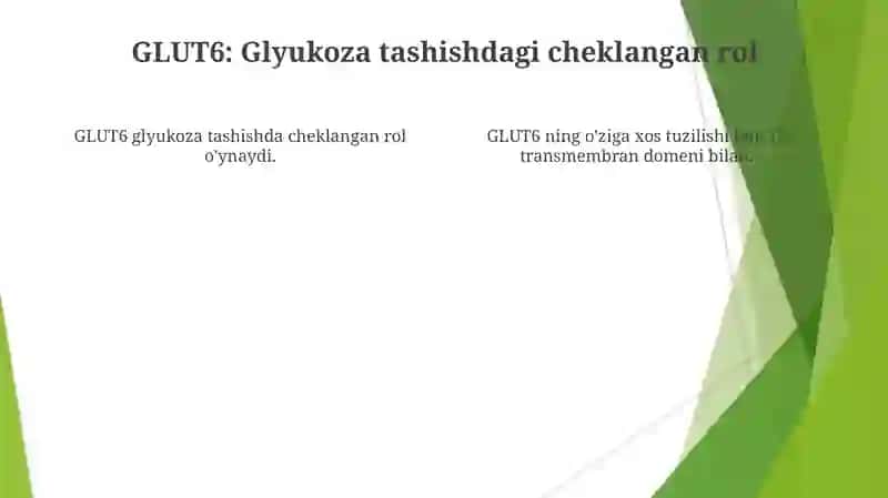 Glyukoza Tashuvchilarining Tuzilishi 4