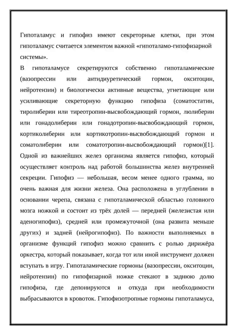 Эндокринная система 4