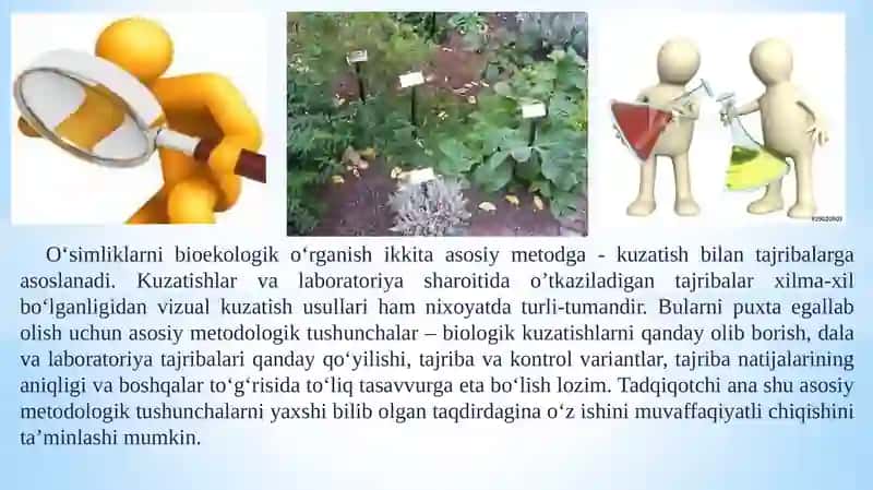 Dorivor O‘simliklar 4