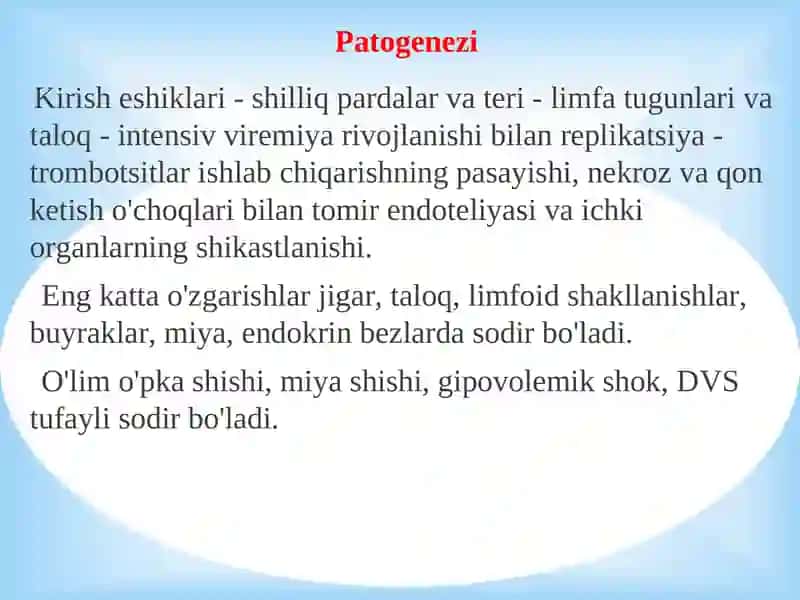Ebola, Lassa viruslari 4